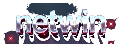 netwin logo